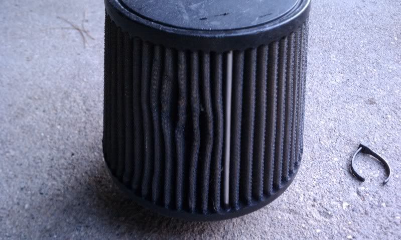 IMAG0217.jpg