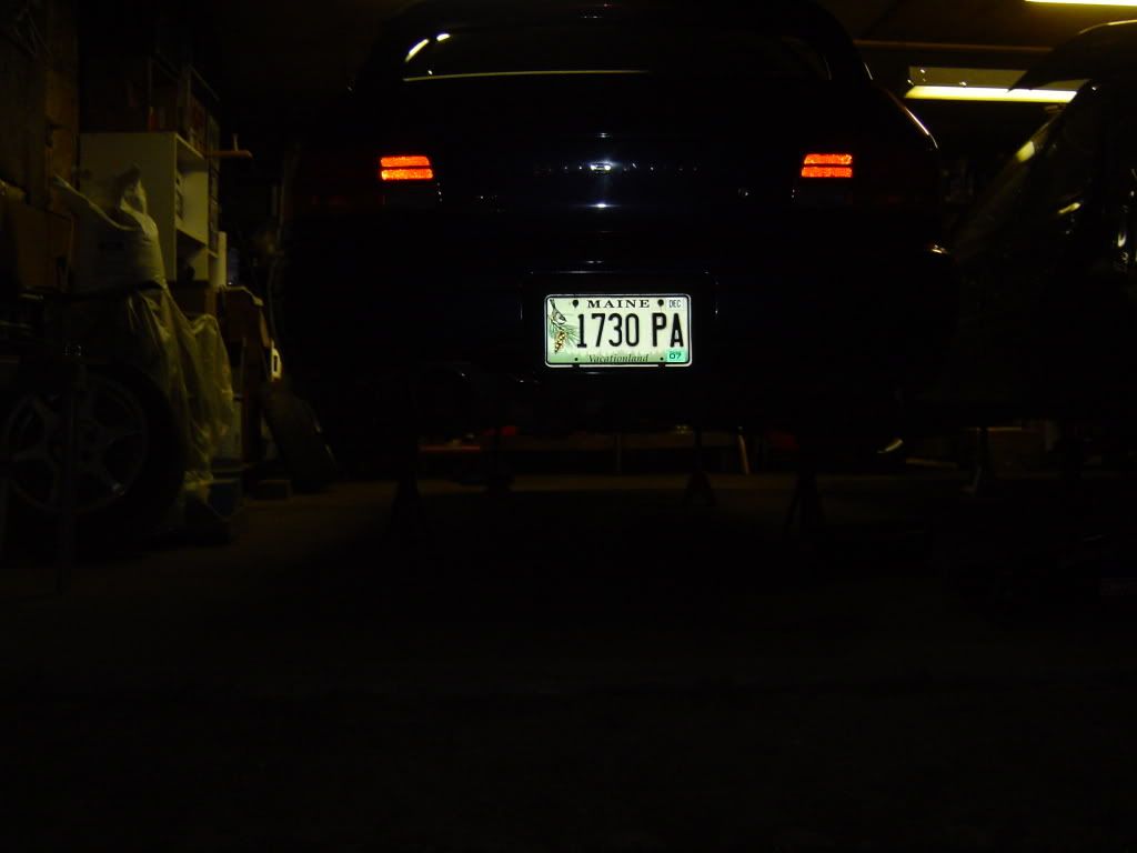DSC04616.jpg