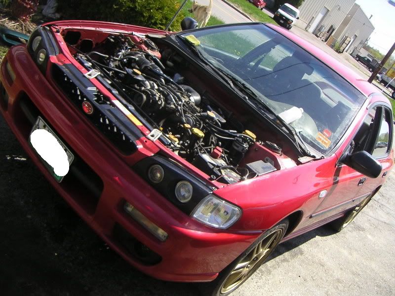 PICT0094.jpg