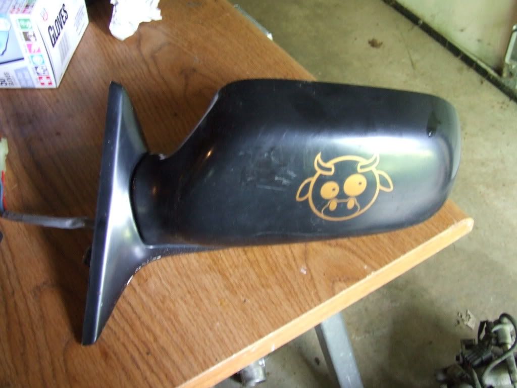 DSCF7965.jpg