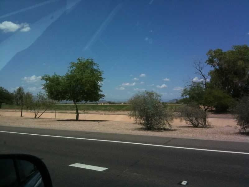 11d0c919.jpg