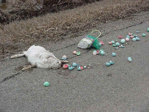 Dead-Easter-Bunny.jpg