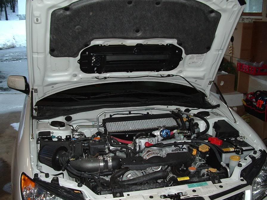hoodstruts1.jpg
