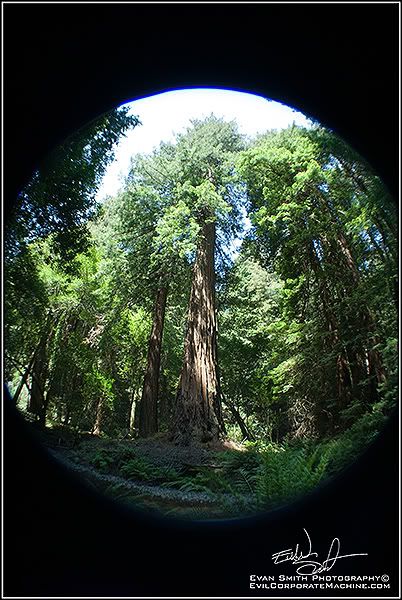 DSC_3598R.jpg
