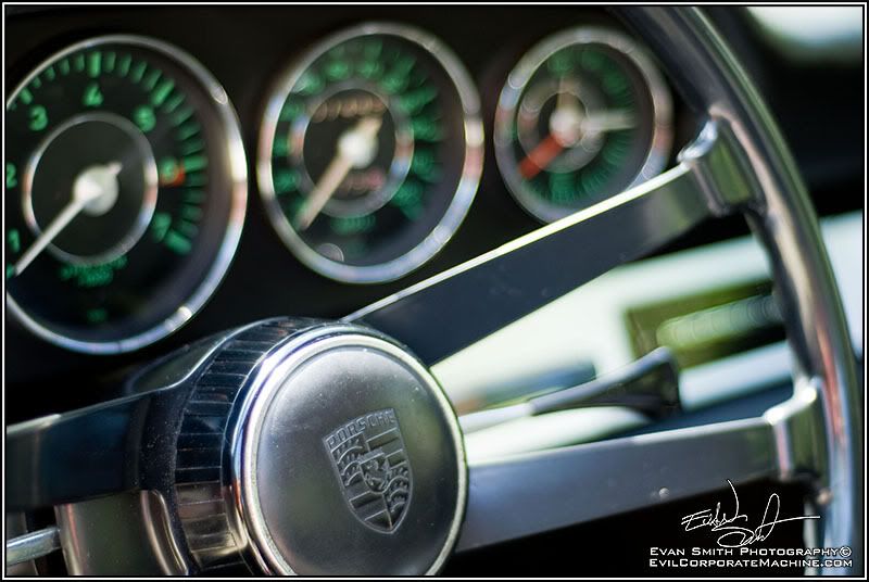 DSC_0230R.jpg