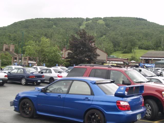 _8100198.jpg
