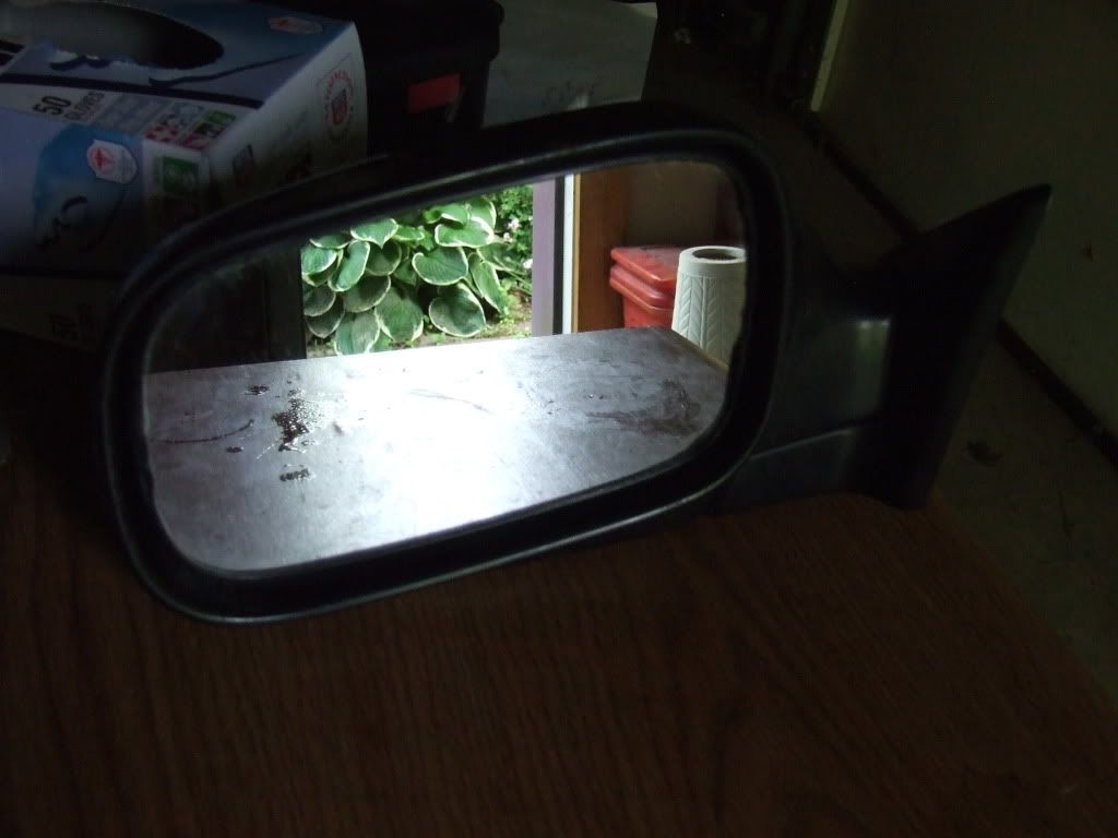 DSCF7961.jpg