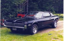 cougar.bmp
