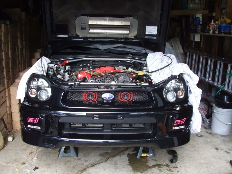 DSCF2271.jpg