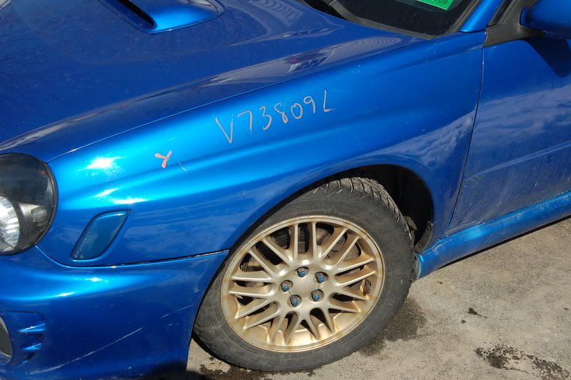 DSC_9533.jpg