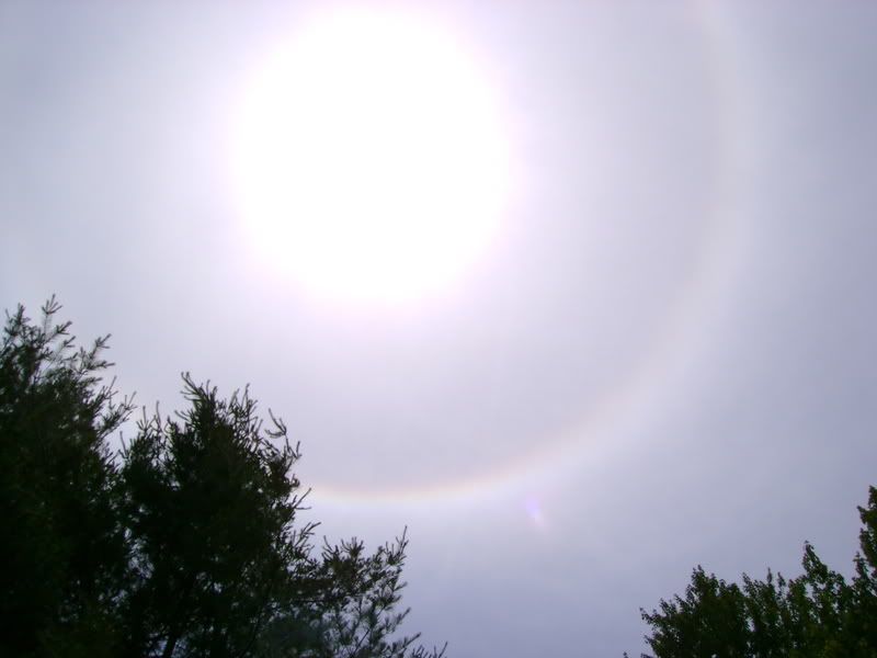 DSC00254.jpg