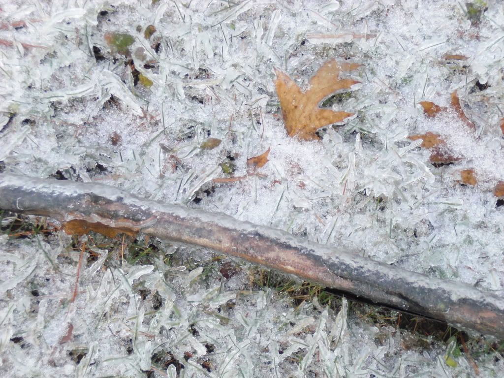 IceStorm08008.jpg