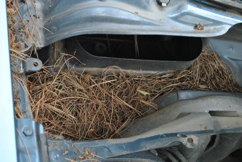 DSC_0046.jpg