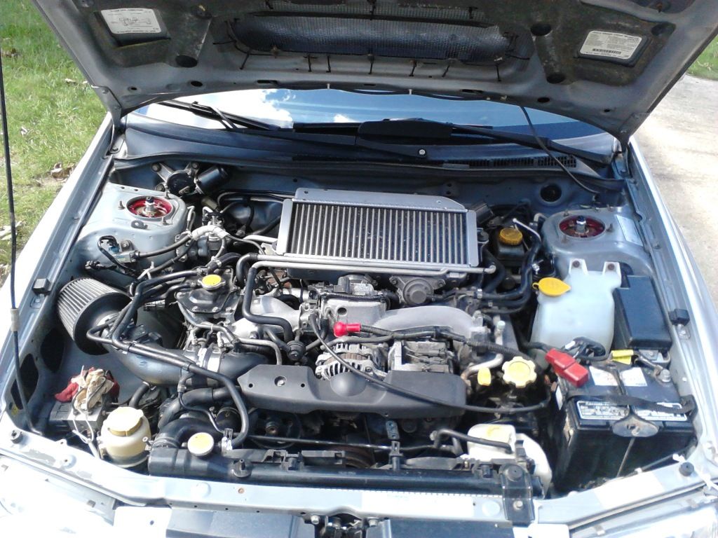 P82A0162_zpse001cbba.jpg