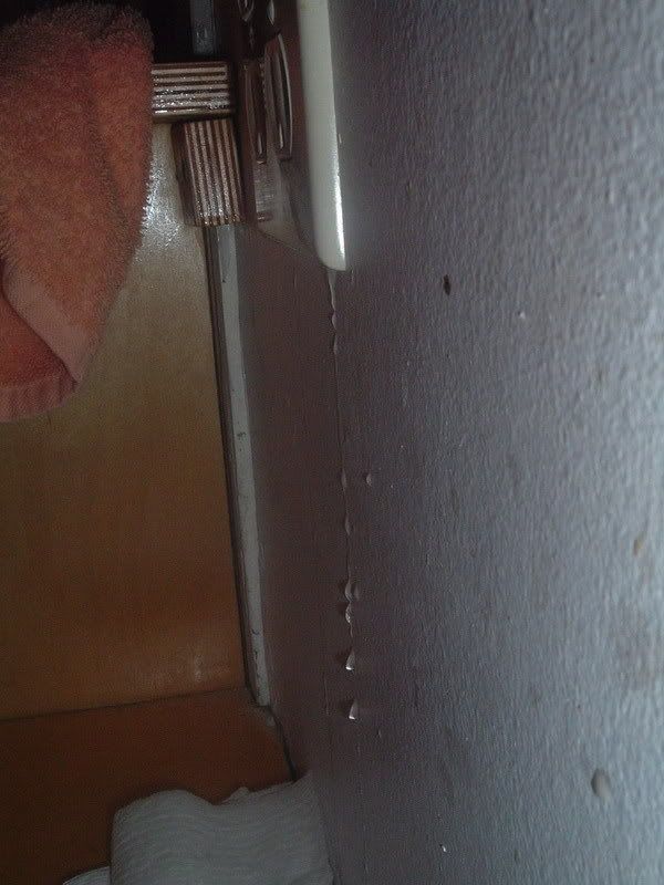 DSCF4395.jpg