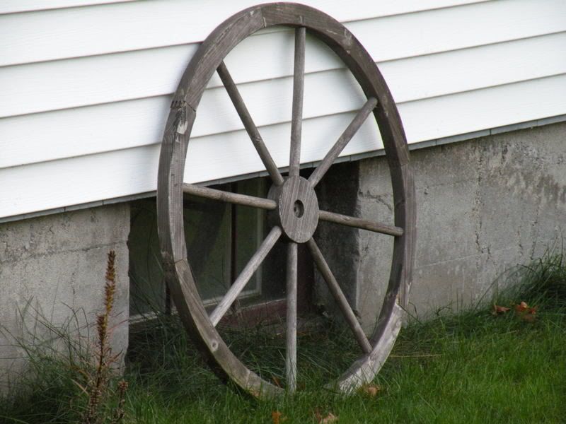 Picture014.jpg