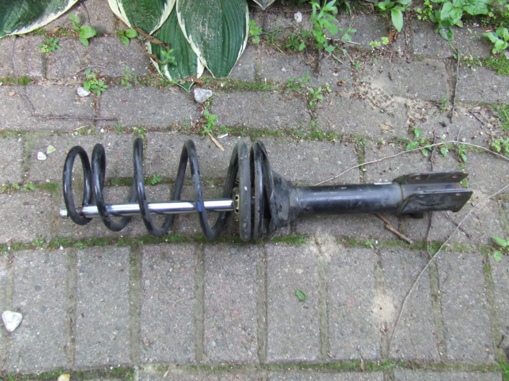 DSCF7969.jpg
