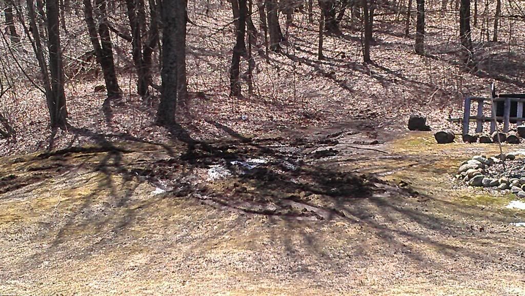 IMAG0400_zps56061699.jpg