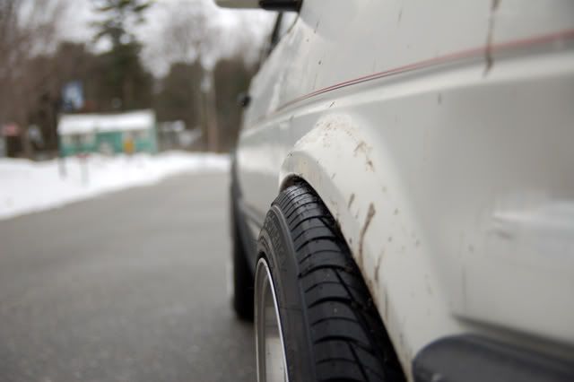 DSC_7900.jpg