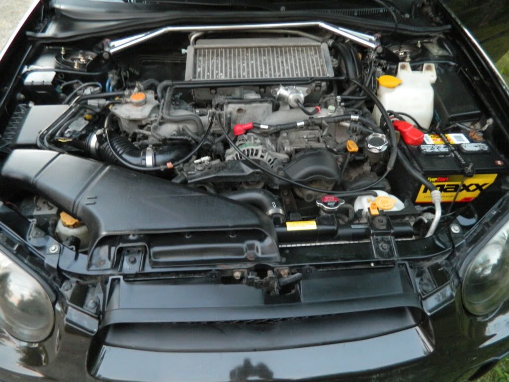 DSCN0681.jpg