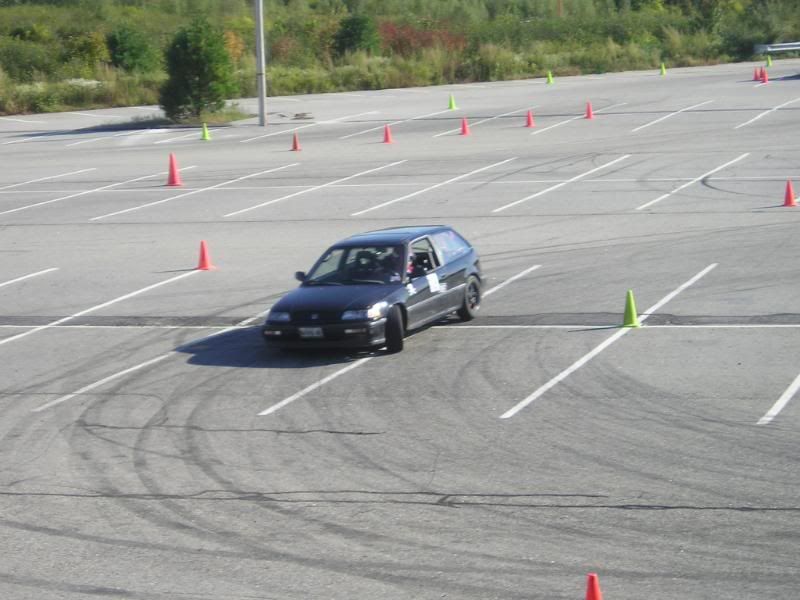 P1010013.jpg