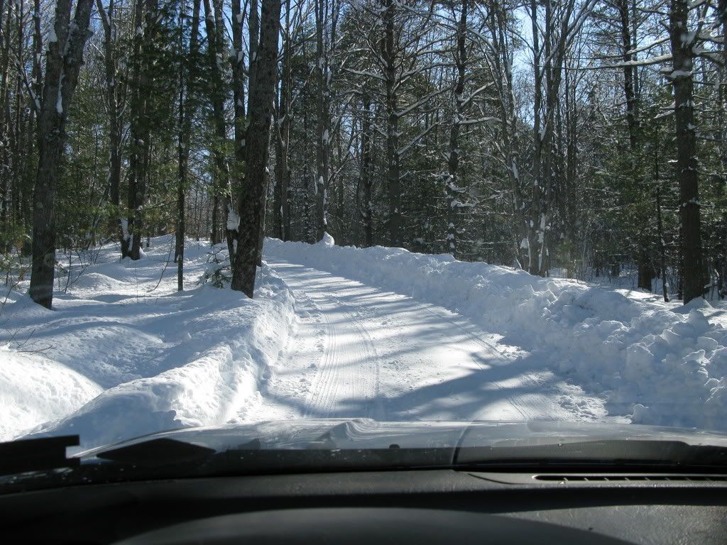 img_2604.jpg