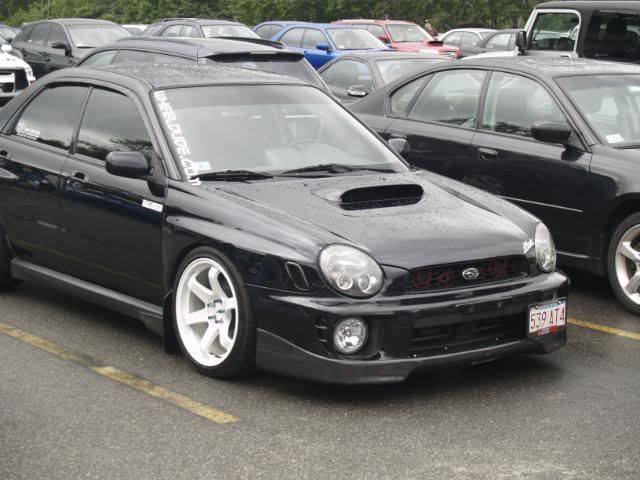 _8100209.jpg
