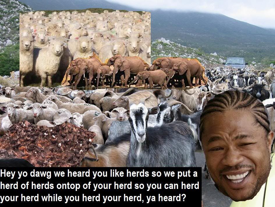 XzibitHeards.jpg