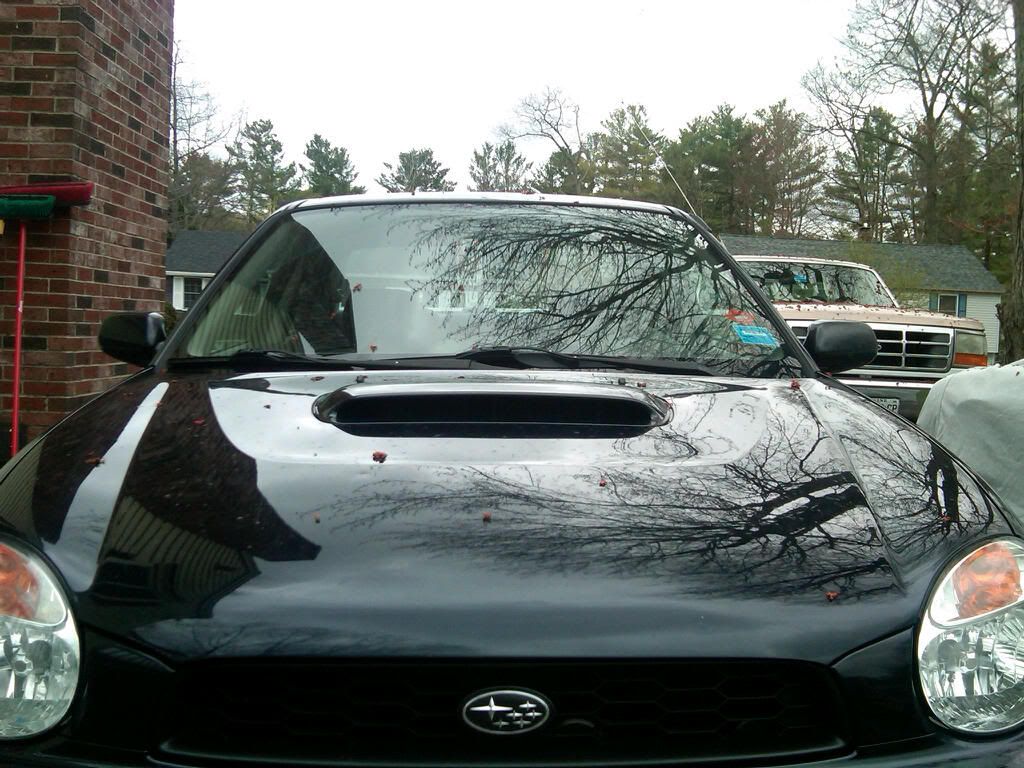 IMG00091-20110505-1223.jpg