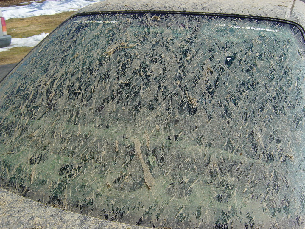 4376281602_c6759372e1_b.jpg