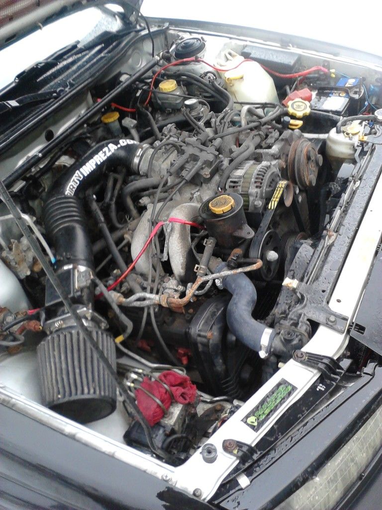 P82A0205.jpg