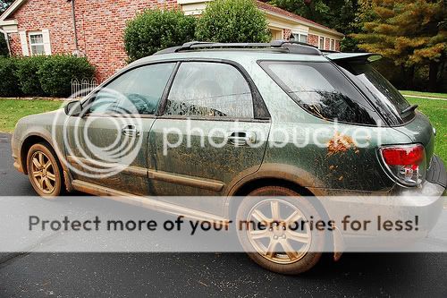 4019823569_fa287395d5.jpg