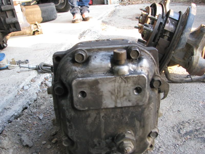 img2556w.jpg