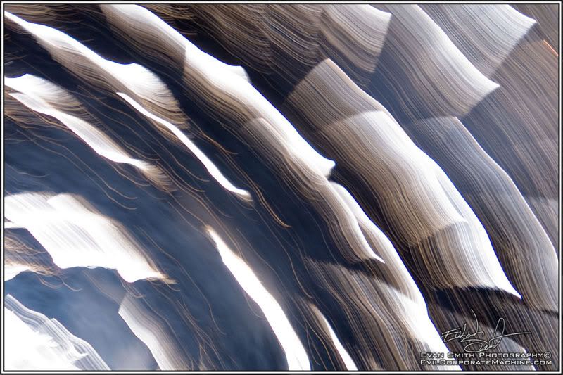 DSC_6624R.jpg
