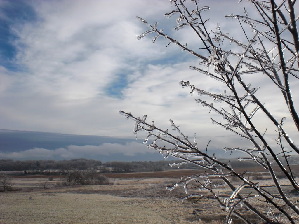 IceStorm08026.jpg