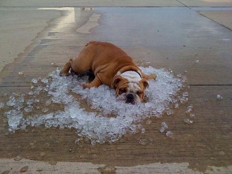 texasheat.jpg