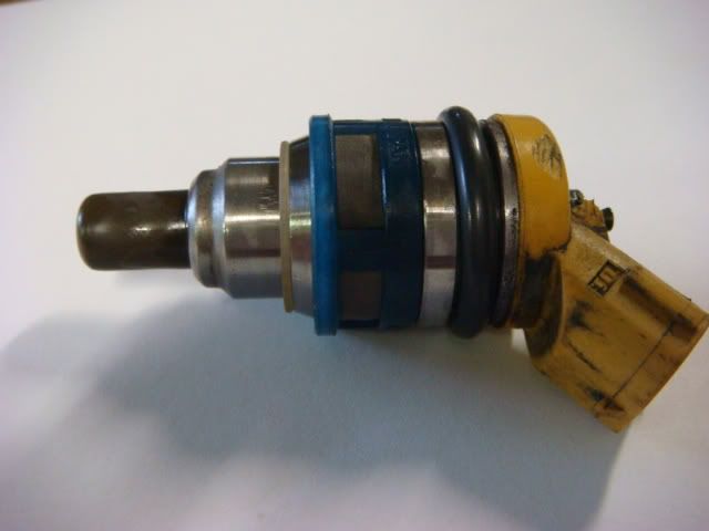 DSC01826-1.jpg