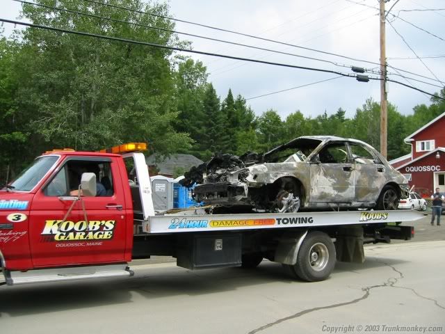 IMG_2186sized.jpg