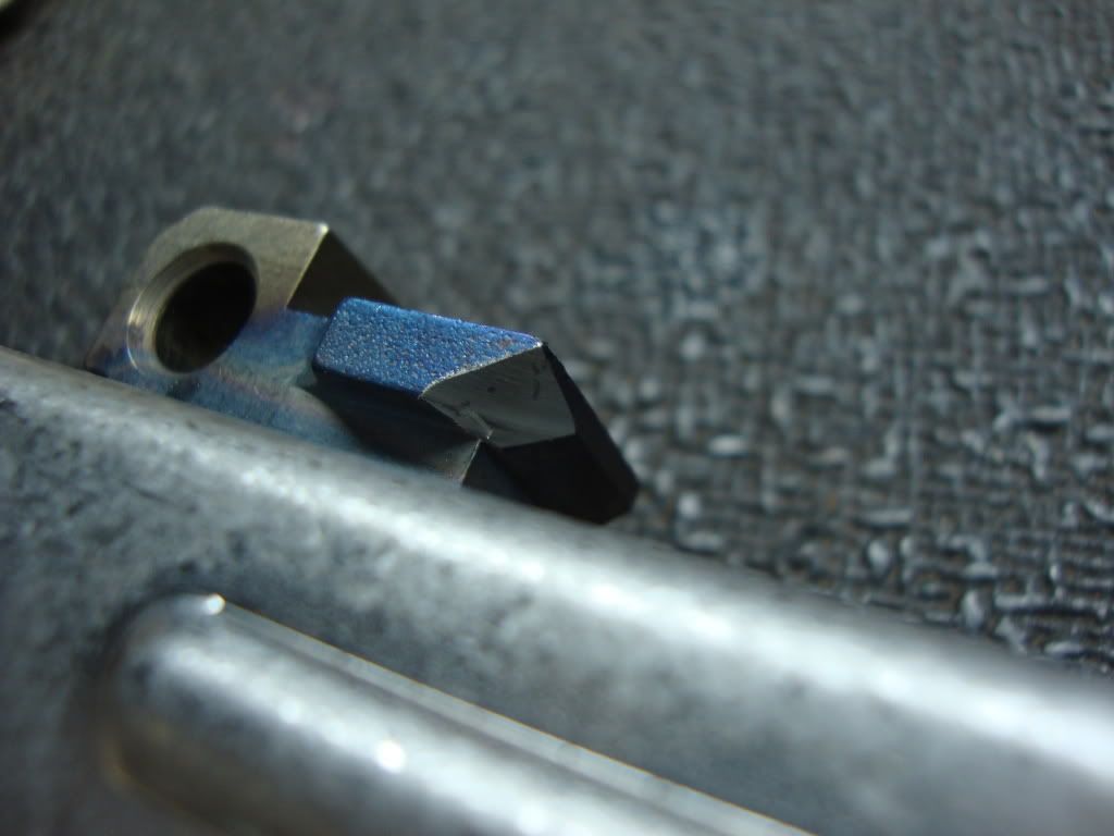DSC01168.jpg