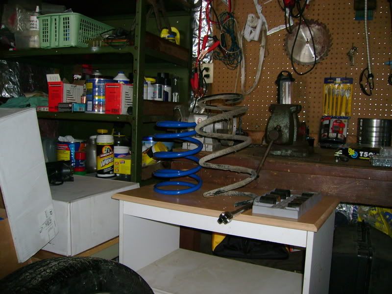 DSC00171.jpg
