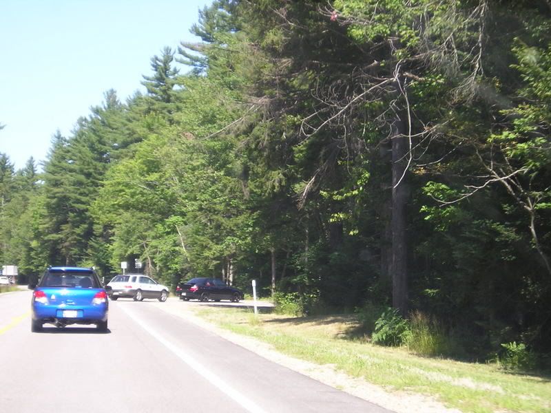 P1010055.jpg