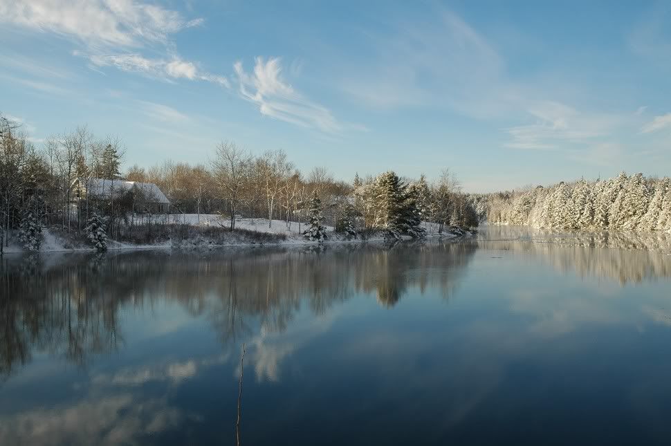 DSC_0172.jpg