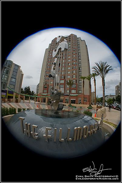 DSC_4280R.jpg