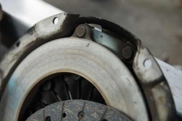 DSC_4832R-1.jpg