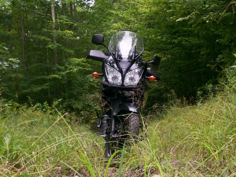 RomeRdtrailcloseup.jpg