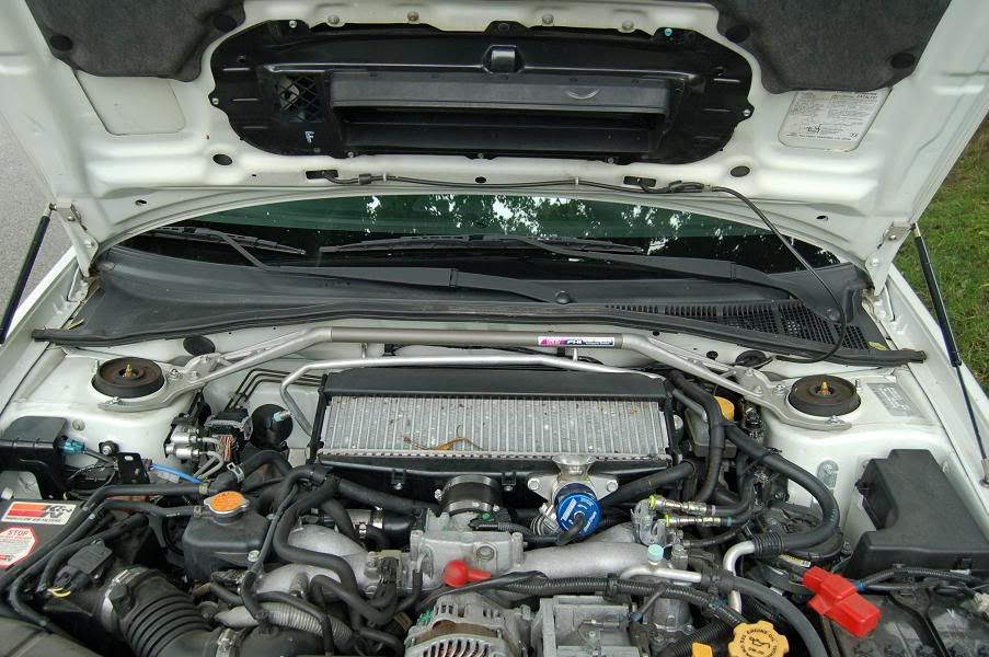 specC2.jpg
