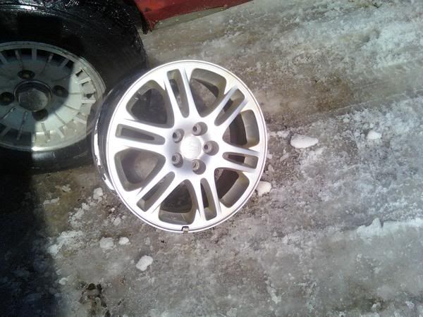 wheelz.jpg