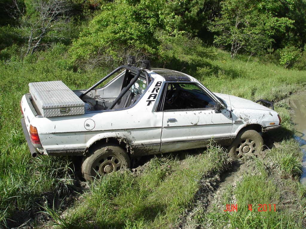 037.jpg