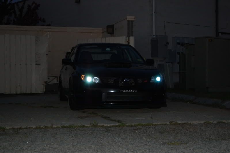DSC_0100.jpg