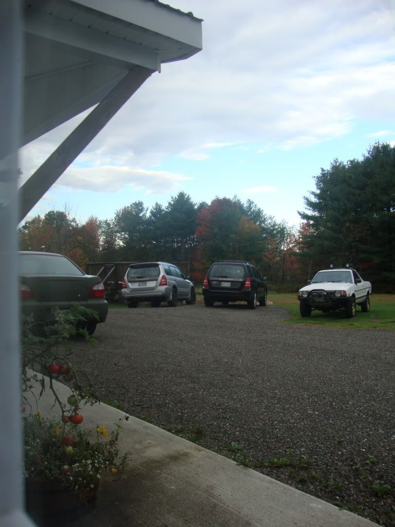 DSC00986.jpg